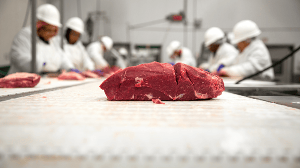 Meats Landing Page2 